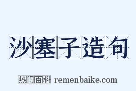 沙塞子造句是什么意思的图片